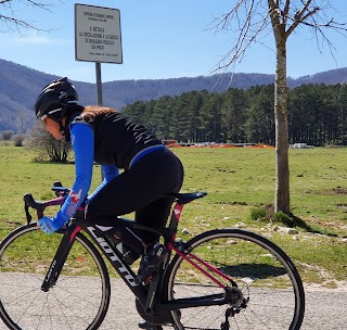 Cicli Liotto Gino e Figli