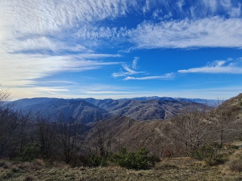 Sorgenti del Brasimone