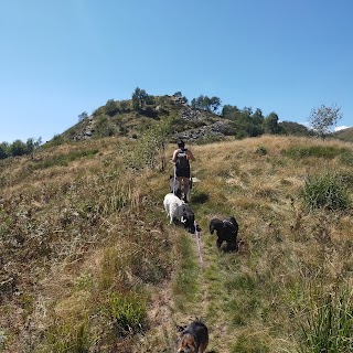 Rocche di San Martino