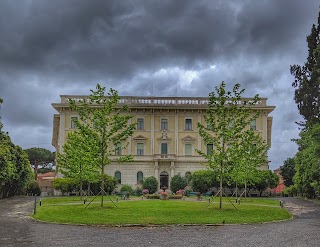 Pontificio Collegio Irlandese