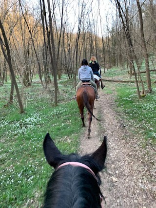 Maneggio Mimosa Horse Ranch