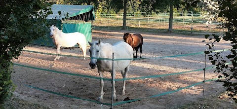 Centro Equestre La Luna Nuova Asd