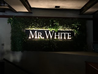 Mr White