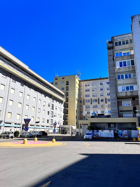 Centro Servizi Facoltà di Medicina e Chirurgia