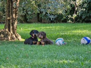 Allevamento di Casa Giardino