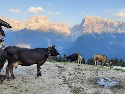 Rifugio Malga Ritorto