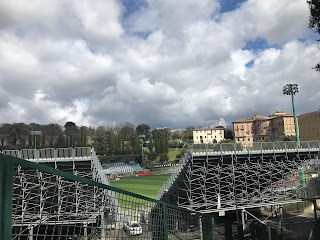 Stadio Artemio Franchi