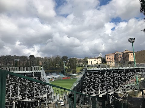 Stadio Artemio Franchi