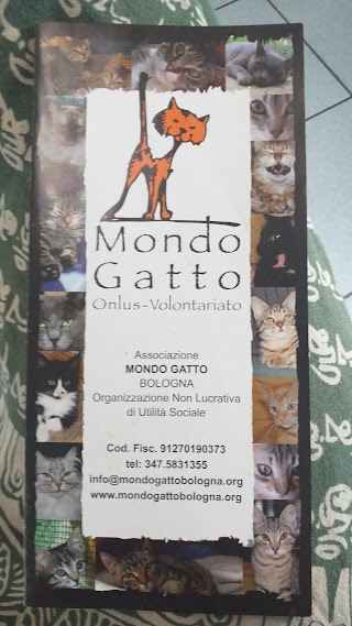 Mondo Gatto - Oasi Felina