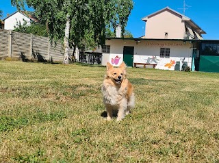 IL VILLAGGIO DEL CANE