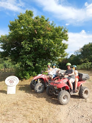 Quad Tour Franciacorta