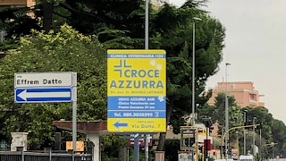 Croce Azzurra Clinica Veterinaria