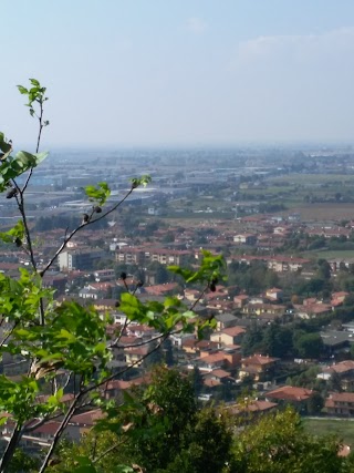 Centro Elaborazione Dati Rizzi Rag. Sonia