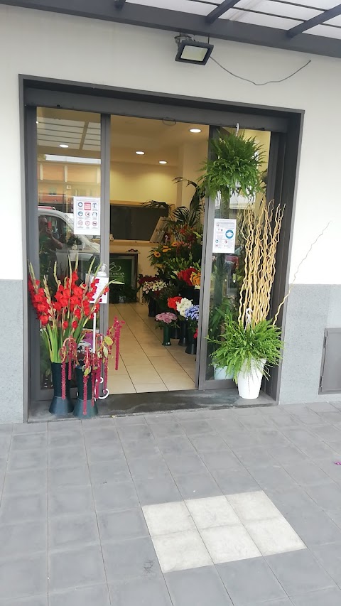 Nc Flowers Di Cavallaro Antonino