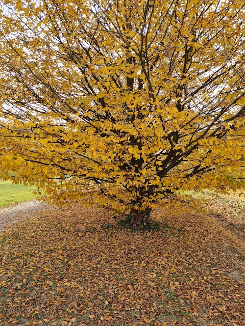 Parco Giochi - Gaggio