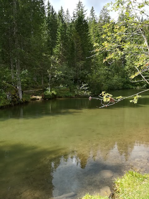 Parco divertimenti