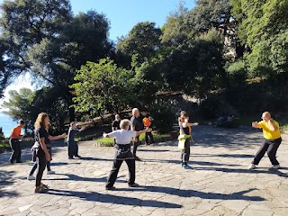 TAIJIQUAN e QIGONG---Accademia Discipline Cinesi DAOYUAN