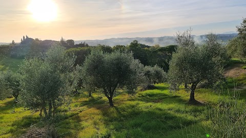 Le Case di Camin Bianco