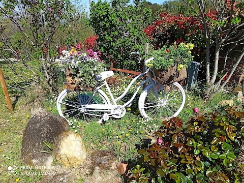 A Casa di Claudia (B&B)