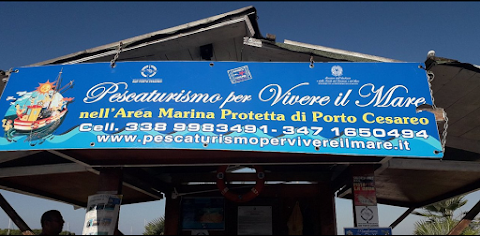 Pescaturismo Per Vivere Il Mare