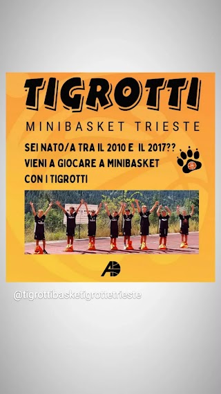 LIBERTAS GYM & BASKET S.S.D Tigrotti & Tigrotte Mini&BasketBall Trieste