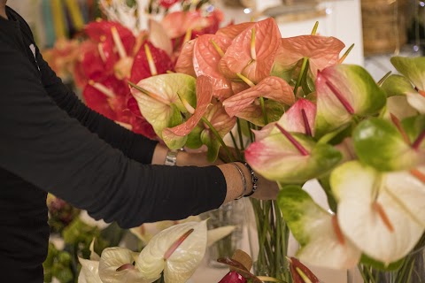 Ditelo Con Un Fiore Di Allegretti Marcello