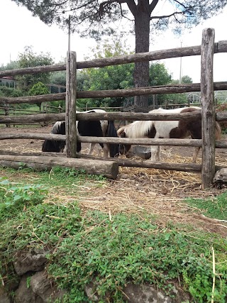 Il Villaggio La Casa Degli Ulivi