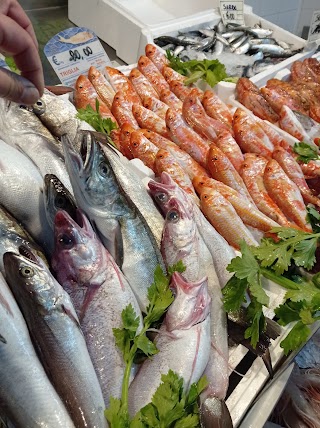 Pescheria Mondello di Favaloro dario