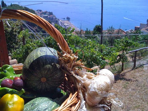 Il Melograno in Costa d'Amalfi B & B