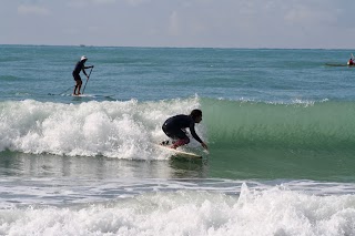 Pettirosso Surf School Ostia