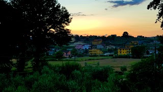 Azienda agricola l'uovo sano