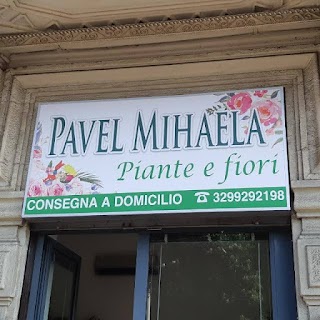 Pavel Mihaela Piante E Fiori