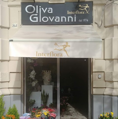 Oliva Giovanbattista