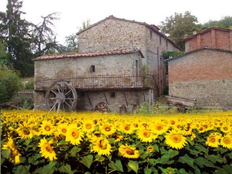 Podere Casina Rossa