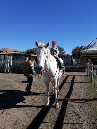 Il Mondo Del Cavallo