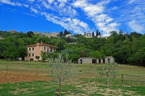 Agriturismo Franciscus di Bressanin Fiammetta