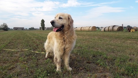 Pensione ed educazione per animali San Rocco