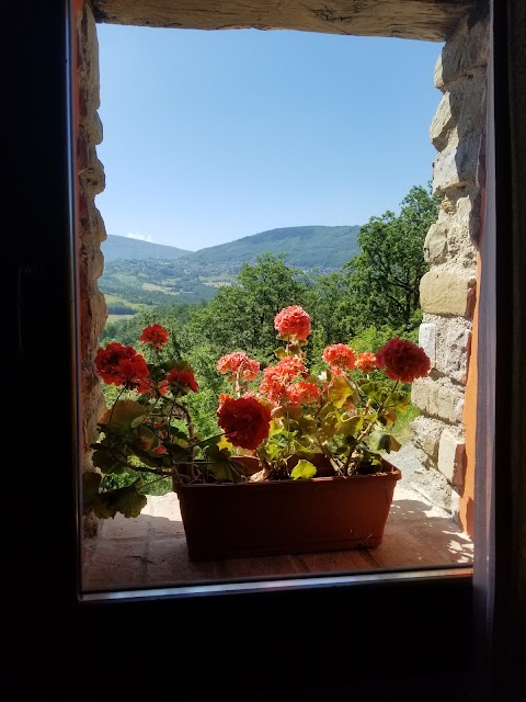 Agriturismo Il casale tosco-emiliano