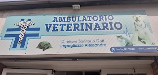 Ambulatorio veterinario