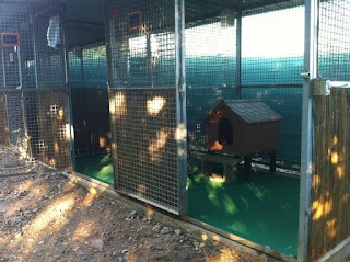 Dog Hotel di F.lli Manzi