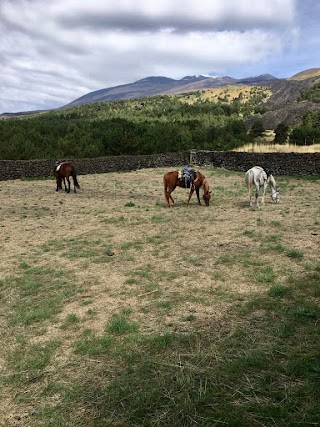 Etna Horse Riding/Etna Escursioni a cavallo