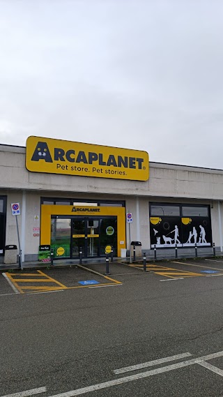 Arcaplanet