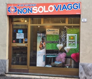 N.S. Viaggi di Artioli Cinzia