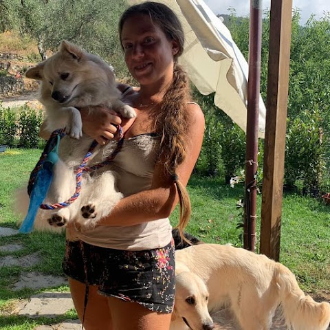 Pet Sitter Mazzanti Lara