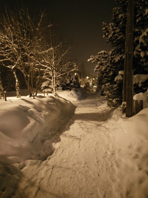 Les Chalets de Solaise