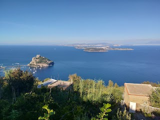 La Cantina Torre Di Mezzo