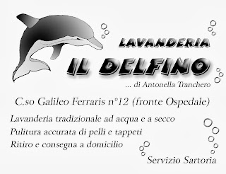 Lavasecco il Delfino Lavaggio ad Acqua Chivasso