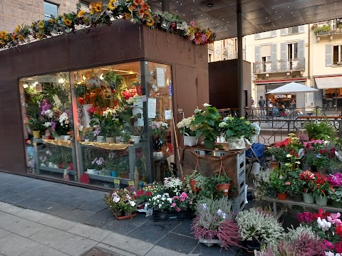 Il fior fiore di Pavia di Pierangela Pistoni