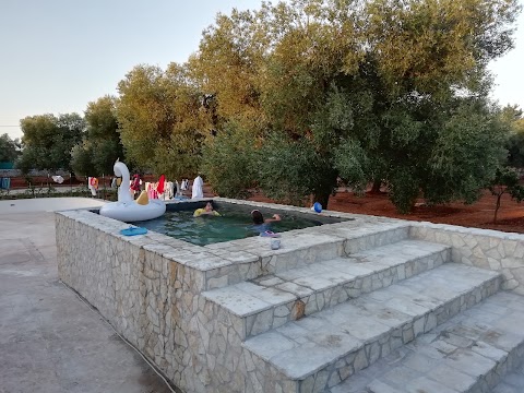 Virginia country house Torre Guaceto con piscina