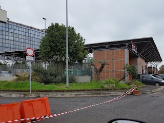 Centro di Raccolta Ama Laurentina